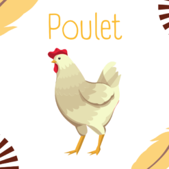Poulet