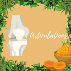 Soutien articulaire