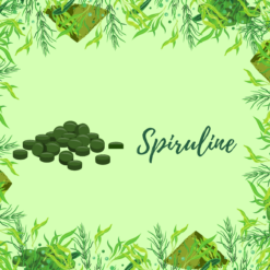 Spiruline & phycocyanine