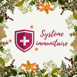 Soutien système immunitaire