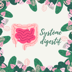 Soutien système digestif