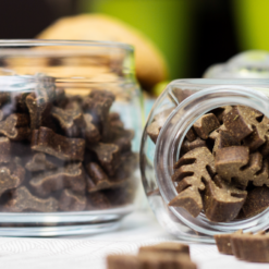 Biscuits pour chiens