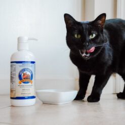 Compléments pour chats