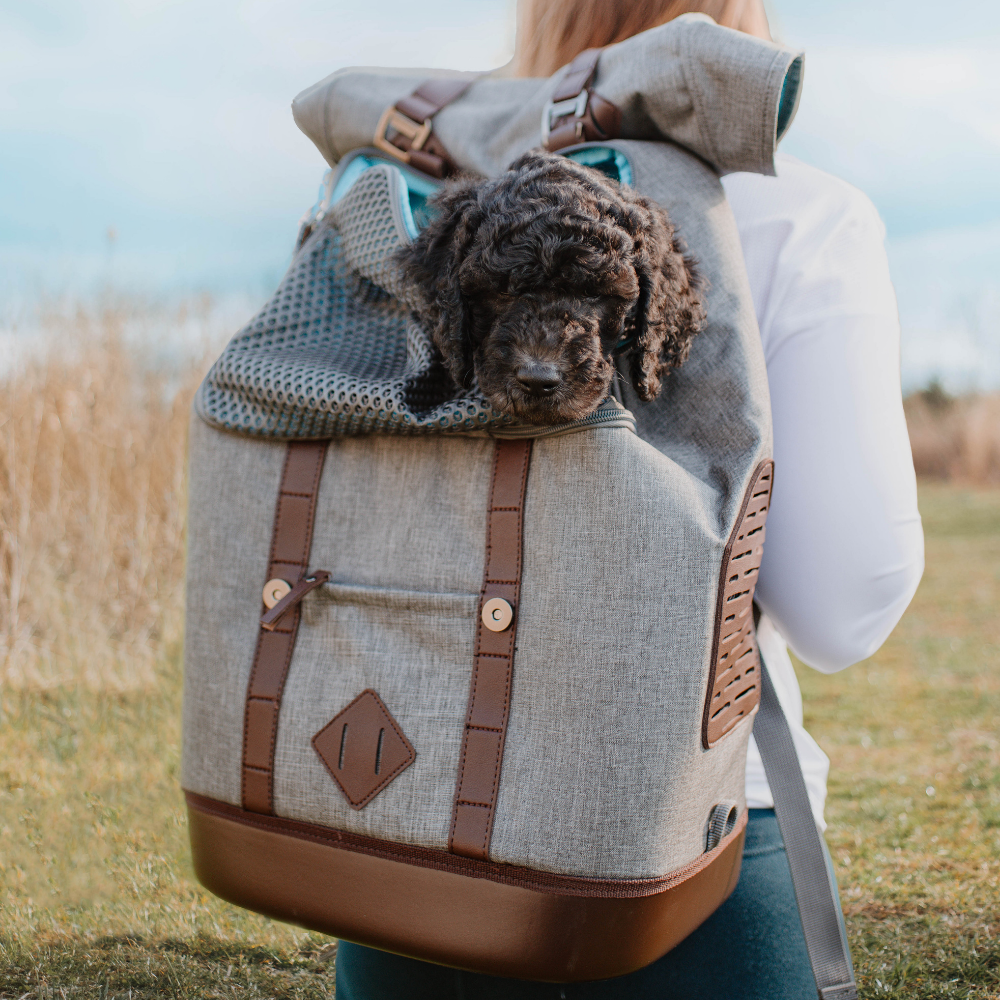 Un sac spécial pour les petits chiens