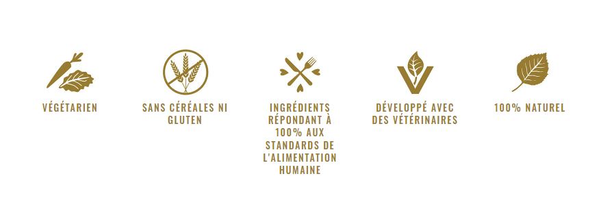 biscuits aux légumes pour chiens