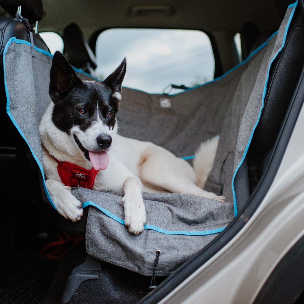 Kurgo Wander Hammock, couverture de voiture pour chiens