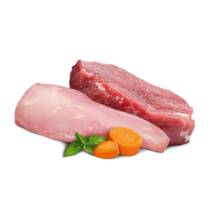 Terra felis bœuf et lapin