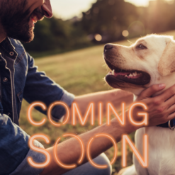 x. Précommandes clôturées