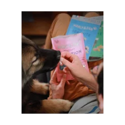 Marly & Dan Digestion