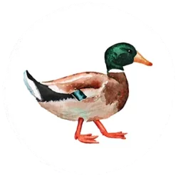 Feline Feast Canard