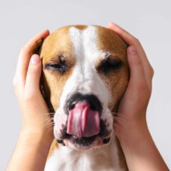 Stress (produits apaisants & co)