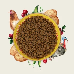 feline feast de Eden en vente chez crafty fox