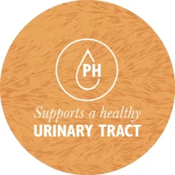 feline feast de Eden en vente chez crafty fox